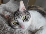 Hedwig wartet auf dich - München
