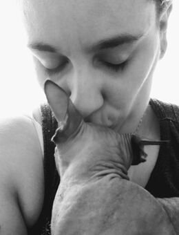 Ich suche eine Sphynx Katze oder etwas ähnliches - Parchim
