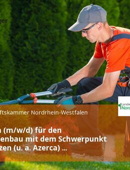 Berater/in (m/w/d) für den Zierpflanzenbau mit dem Schwerpunkt Topfpflanzen (u. a. Azerca) Vollzeit / Teilzeit - Straelen