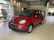 Fiat Panda, 1.0 GSE Hybrid (312), Jahr 2022 - Lauchringen