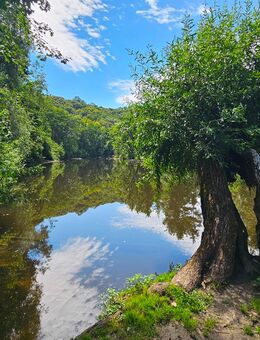 Wanderung heute 07.08. - Möglingen