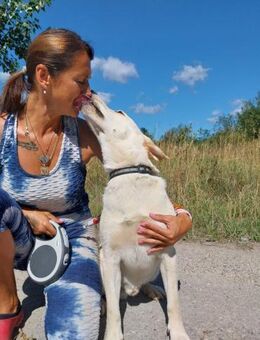 Max ❤️ Schutzgebühr 500 Euro - Burgsinn