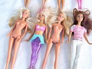 Barbie--Ken--Kinder--Andere Puppen--Kleidung und andere Sachen siehe die Fotos - Meckenheim