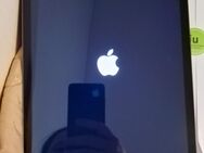 Apple I Pad 9. Generation in Grau 64 GB - Hamburg