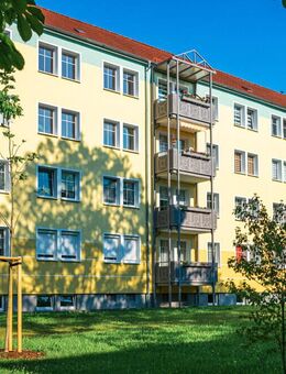 Wohnvergnügen verteilt auf 3 Zimmer - Zwickau