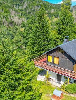 Ferienhaus - im Grünen mit exklusiver Alleinlage. - Schleusegrund