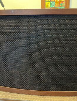 Bose 901 serie 4 mit Equalizer, Hitachi HA 5300 - Altenstadt (Hessen)