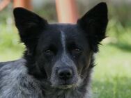 Unsere schüchterne Tarja sucht Dich - Kallmünz