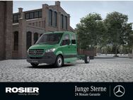 Mercedes Sprinter, 316 Lang, Jahr 2020 - Braunschweig