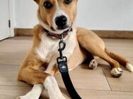 Flori ist ein kleines Träumchen..... - Laatzen