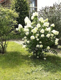Solides Einfamilienhaus in guter Lage von Neu Wulmstorf/Ldkrs. Harburg - Neu Wulmstorf