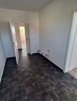 Sehr schöne helle 3 Raum Wohnung Zwickau Marienthal ab sofort zu vermieten - Zwickau