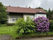 Großzügiges 1-2 Familienwohnhaus mit viel Platz und großem Grundstück - Nonnweiler