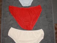 3 verschiedene Damen Unterhosen, Schlüpfer, Slip M / L - Borken