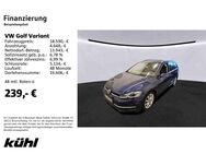 VW Golf Variant, 1.5 TSI Golf VII Highline, Jahr 2019 - Hildesheim