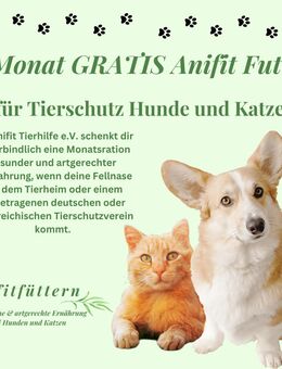 1 Monat gratis Anifit Futter für Tierschutz Hunde und Katzen - Duisburg