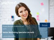 Senior Marketing Specialist (m/w/d) - Brühl (Nordrhein-Westfalen)