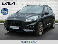 Ford Kuga, ST-Line EcoBlue 8-fach, Jahr 2020 - Roth (Bayern)