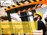 Experte für Druckmedien (m/w/d) - Halle (Westfalen)