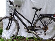 Damenfahrrad Pegasus 28" - Düsseldorf