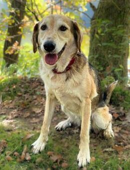 Milka - ist freundlich&entspannt - Löwenberger Land