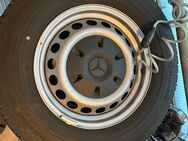 4x Sommerreifen 235/65 R16C Conti VanContact200 auf Stahlfelge f. Sprinter - Esslingen (Neckar)