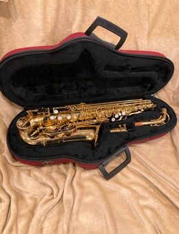 Alt-Saxophone Jupiter - Limburg (Lahn)