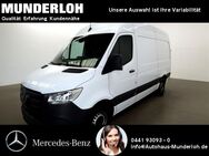 Mercedes Sprinter, 317 Kasten Standard, Jahr 2023 - Oldenburg