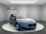 Skoda Octavia, Combi Ambition, Jahr 2023 - Oebisfelde-Weferlingen Hörsingen