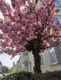 Sommerzeit mit dir? - Berlin Tempelhof-Schöneberg