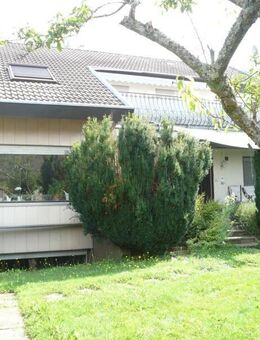 DG-Whg. frei! Neuer Preis! Geräumiges 2-Familienhaus mit schönem Garten und 3 Garagen in 76275 Ettlingen - Ettlingen
