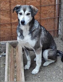 FINJA-sensible Schönheit mit Herz - Schlitz