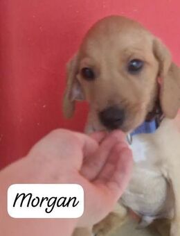 Morgan 🩵🩵🩵 voller Hoffnung und Liebe - Bad Karlshafen