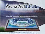Original Stadionmodell Arena auf Schalke 1A Zustand kein Bausatz - Hannover Herrenhausen-Stöcken