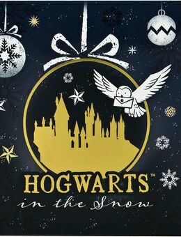 UNDERCOVER Spielzeug-Adventskalender Teens Harry Potter (24-tlg)