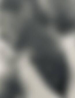 Kik*** - Dießen (Ammersee)