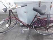 Gazelle damenfahrrad 28 zoll - Duisburg