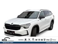 Skoda Kodiaq, 2.0 TDI Sportline Sitze, Jahr 2024 - Oberursel (Taunus)