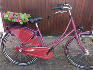 Holland-Rad 28Zoll Rheinfels - Baden-Baden