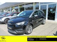 Opel Crossland, 1.2 INNOVATION Turbo EU6d-T Innovation Mehrzonenklima, Jahr 2019 - Niederahr