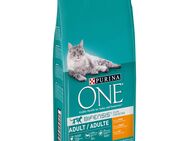 1,75 kg gratis! 9,75 kg PURINA ONE - Adult Huhn & Vollkorngetreide