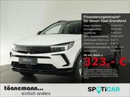 Opel Grandland, MATRIXLICHT GRAD SITZ SENSOR, Jahr 2023 - Coesfeld