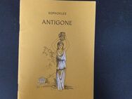 Antigone | Sophokles | Taschenbuch | Hamburger Lesehefte | Deutsch - Essen