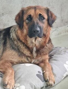 Bea Freundlich & menschenbezogen - Kallmünz