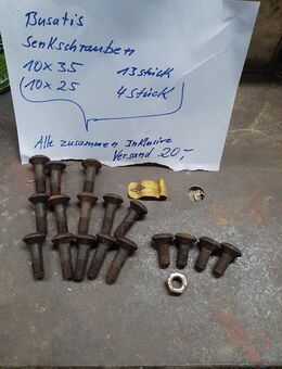 Busatis Reinigungs Platten Senkkopf Schrauben - Büdingen
