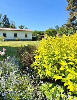 Idyllische Haushälfte im Bungalowstil! Ca. 700 m² private Fläche in Pirna Copitz! - Pirna