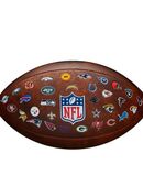 Wilson Football NFL THROWBACK FB 32 TEAM LOGO in 00000