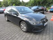 VW Golf Variant, 2.0 TDI Life S, Jahr 2022 - Bergkamen