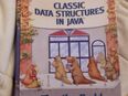 Classic Data Structures in Java: A Visual and Explorational Approach in 53129
