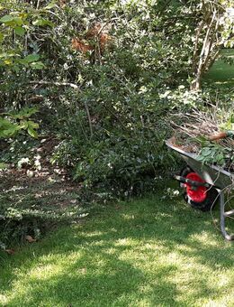 Gartenhelfer hilft in Düsseldorf und Meerbusch im Garten - Meerbusch
